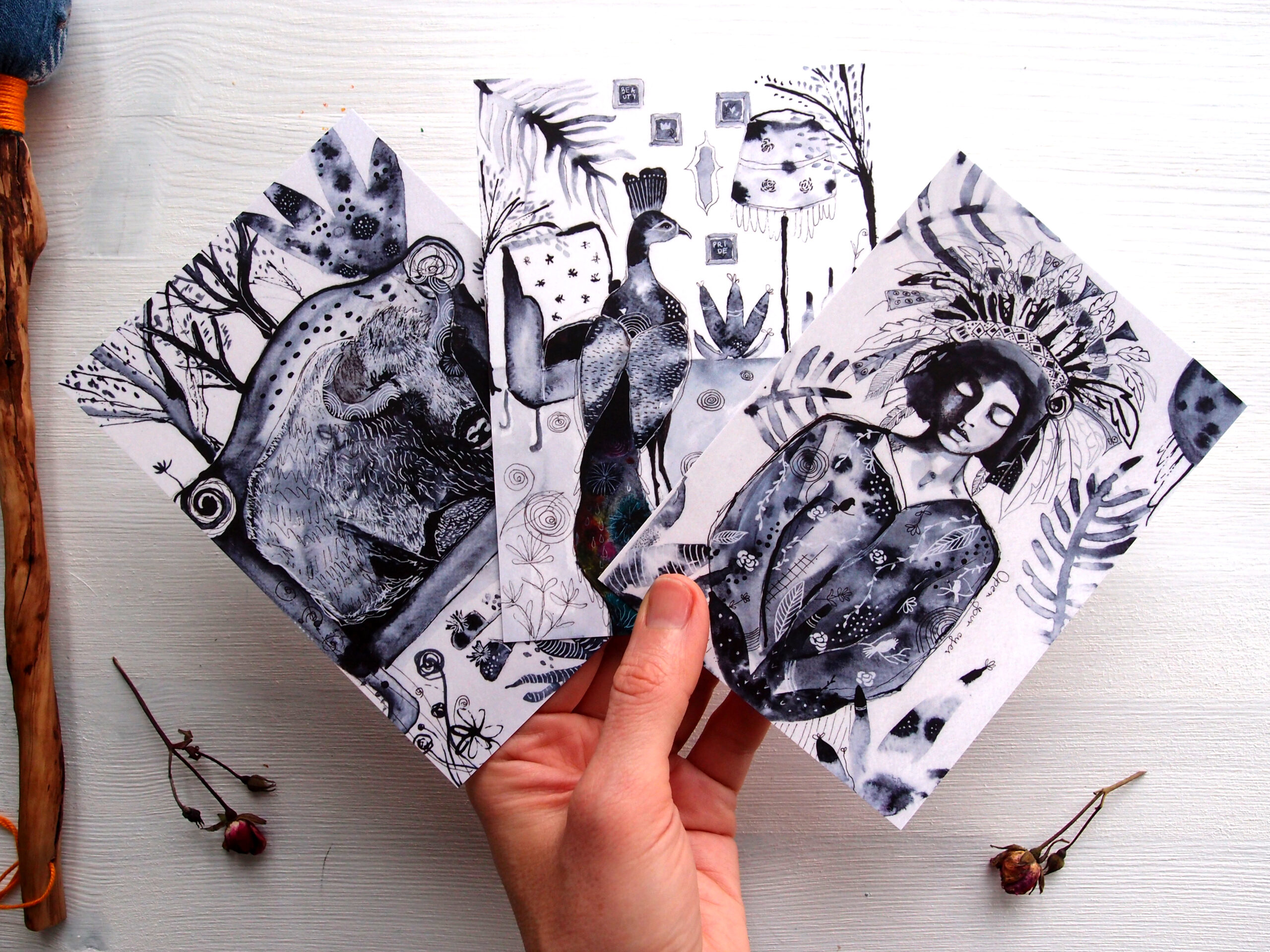 żubr paw i kobieta pocztowki